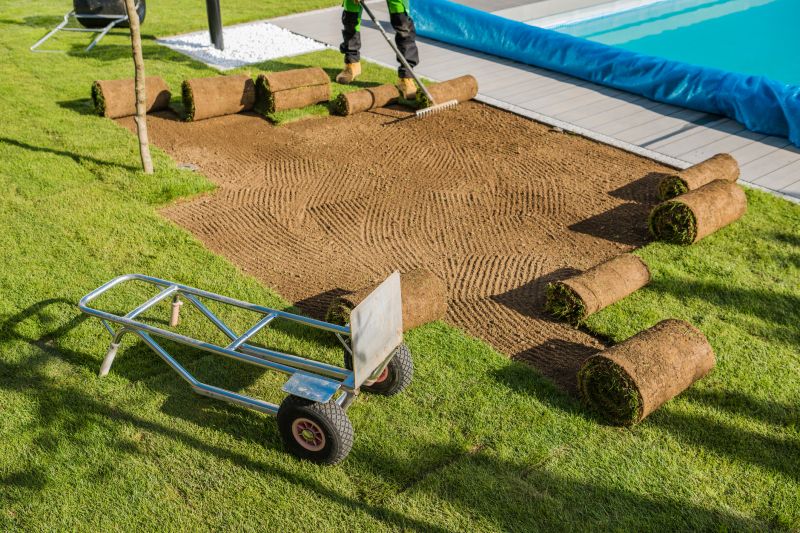 Sod Removal