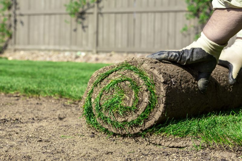 Sod Removal
