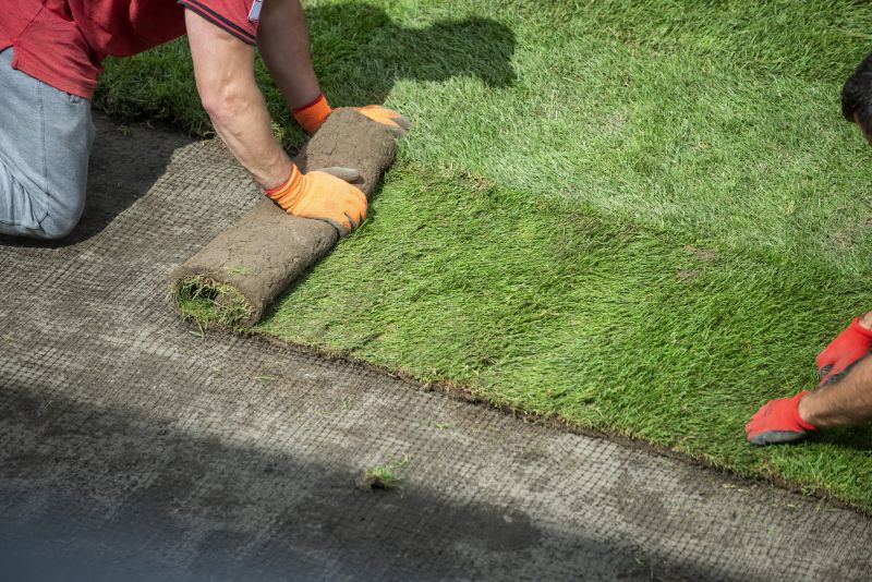Sod Removal Cost Guide — Cost of Sod Removal