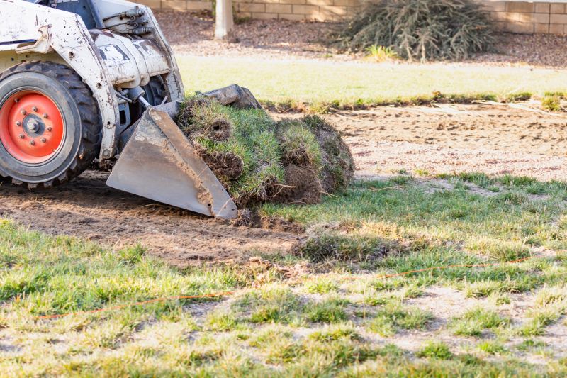 Sod Removal Cost Guide — Cost of Sod Removal