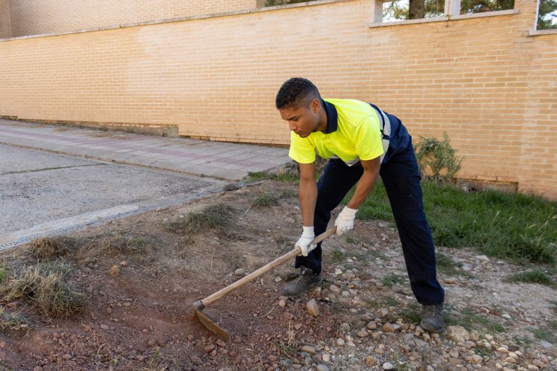 Sod Removal Cost Guide — Cost of Sod Removal