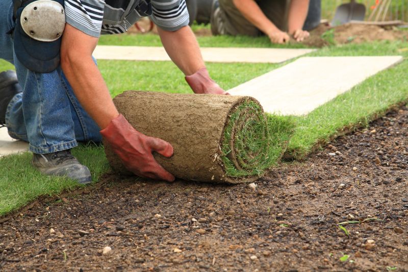 Sod Removal Cost Guide — Cost of Sod Removal
