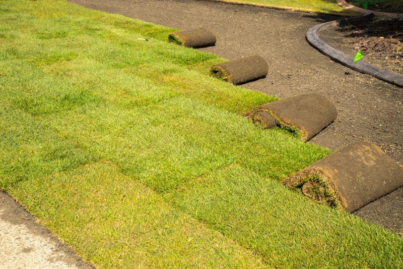 Sod Removal Process