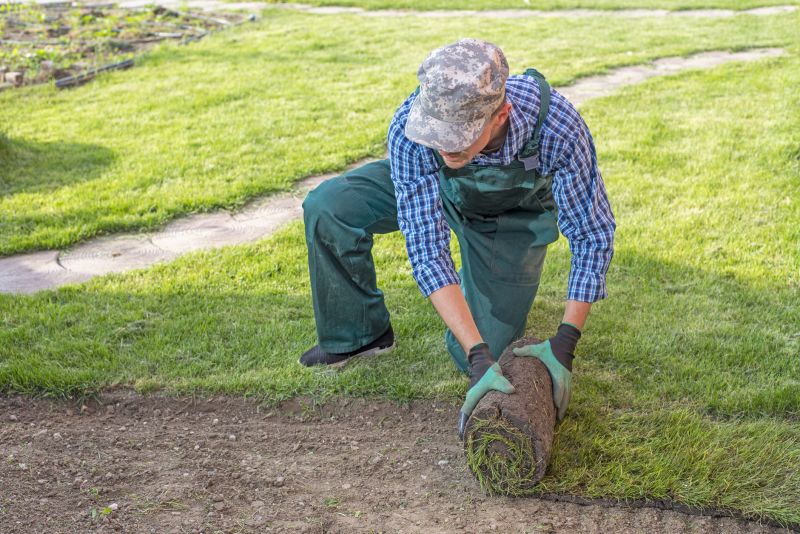 Team Performing Sod Removal