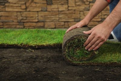 Get a Healthier Lawn by Installing New Sod!